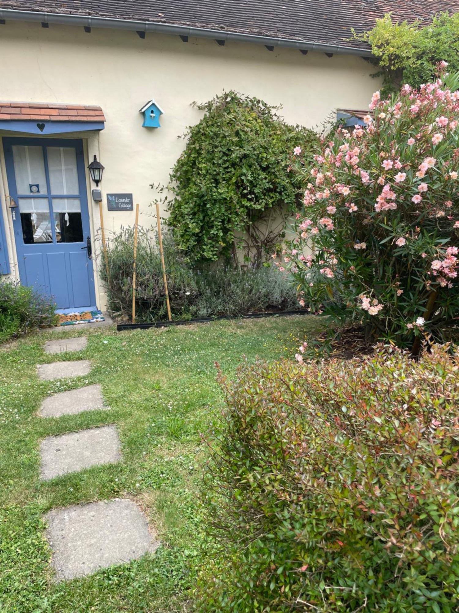 Lavender Cottage Chezelles  Extérieur photo